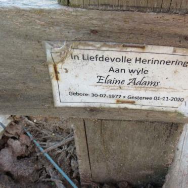ADAMS Elaine 1977-2020