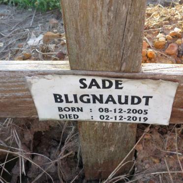 BLIGNAUDT Sade 2005-2019