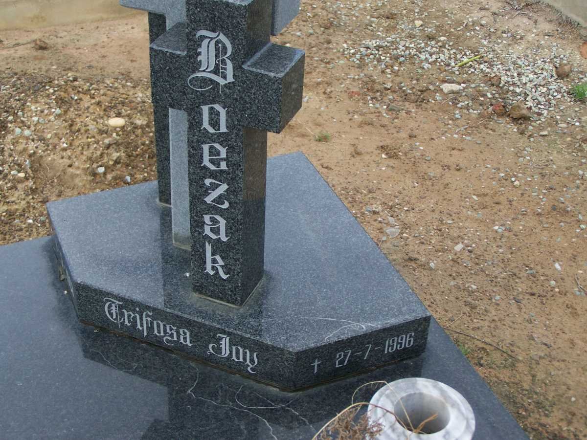 BOEZAK Trifosa Jay 1963-1996 _2