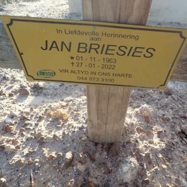BRIESIES Jan 1963-2022