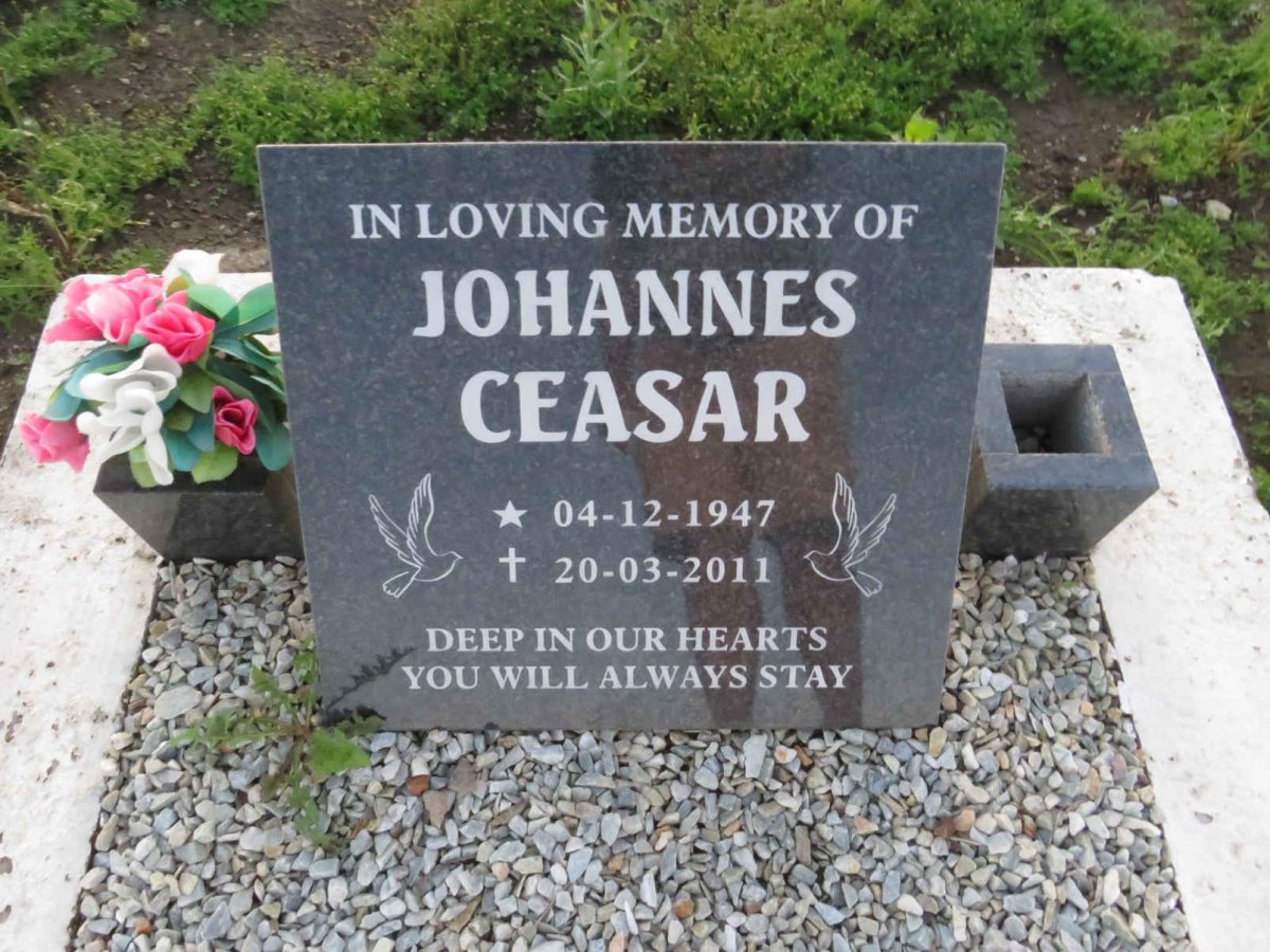 CEASAR Johannes 1947-2011