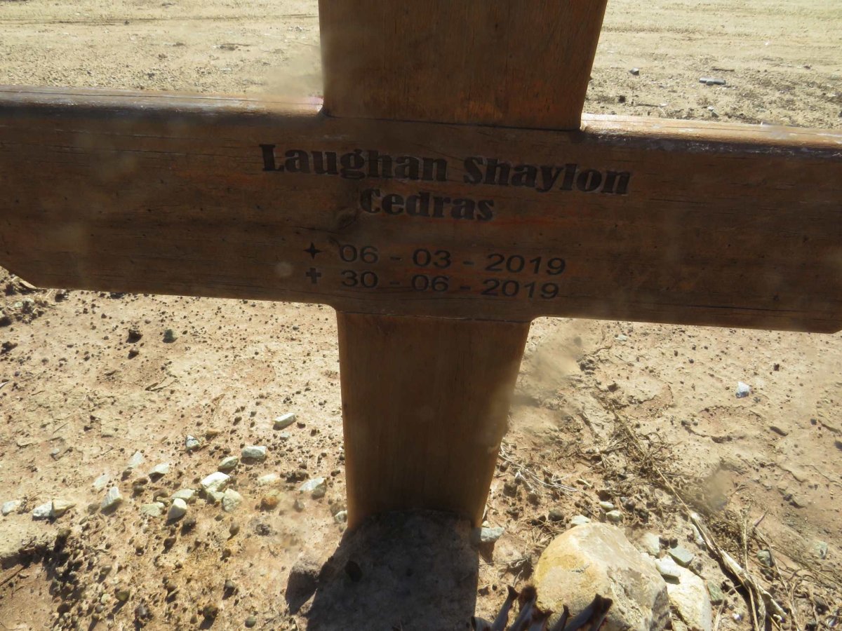 CEDRAS Laughan Shayton 2019-2019