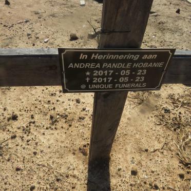 HOBANIE Andrea Pandle 2017-2017