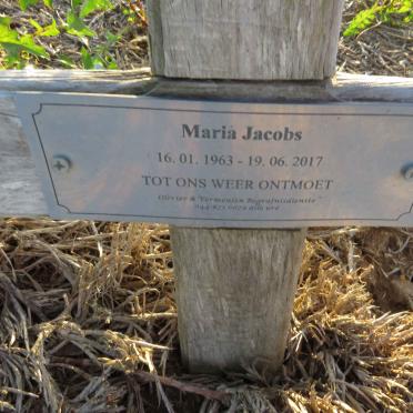 JACOBS Maria 1963-2017