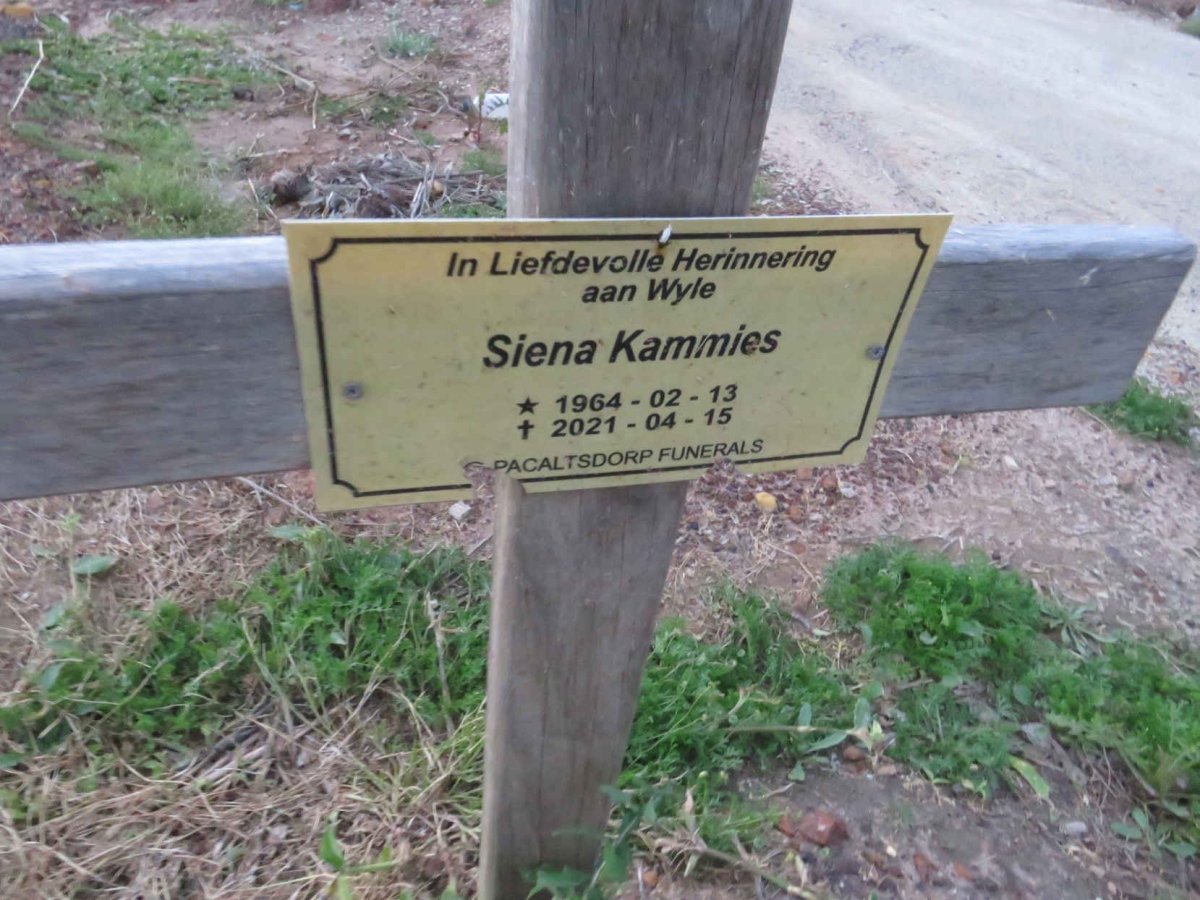 KAMMIES Siena 1964-2021