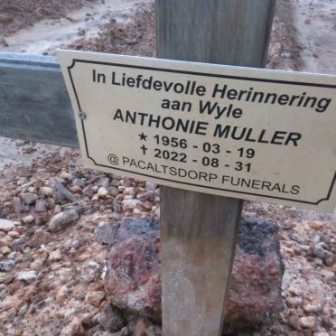 MULLER Anthonie 1956-2022