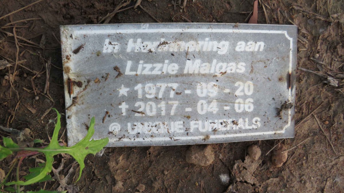MALGAS Lizzie 1977-2017