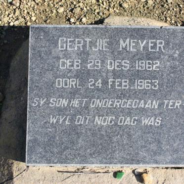 MEYER Gertjie 1962-1963