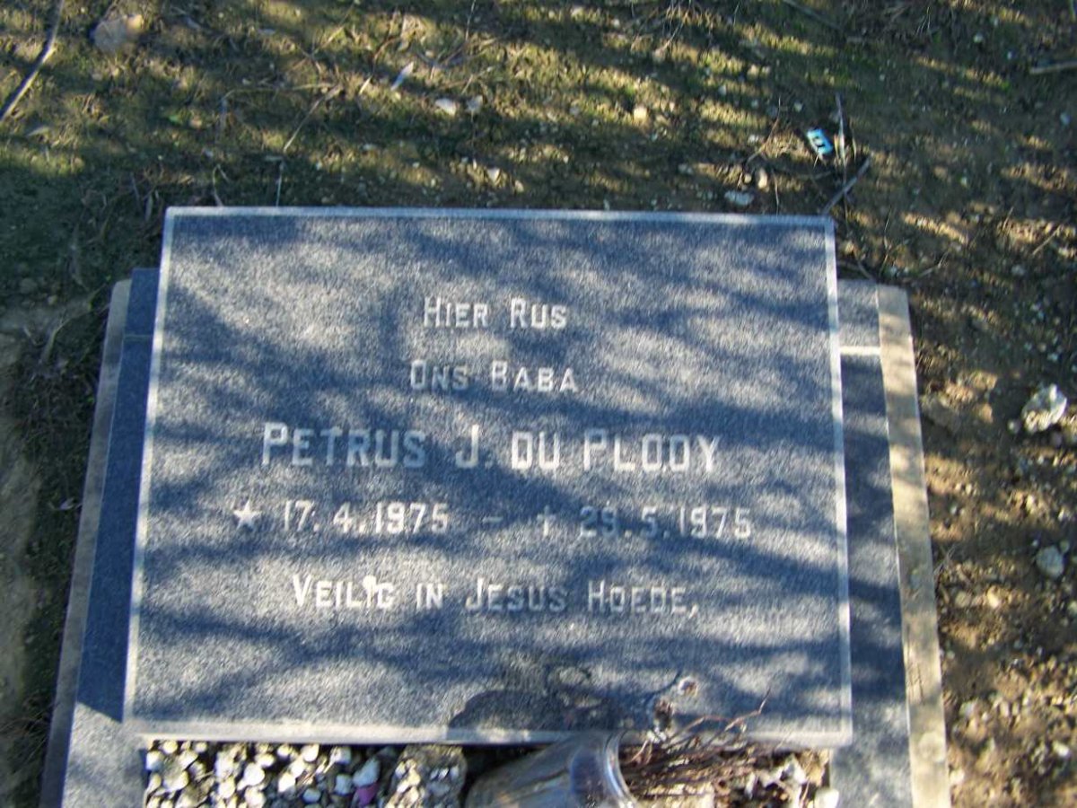PLOOY Petrus J., Du 1975-1975