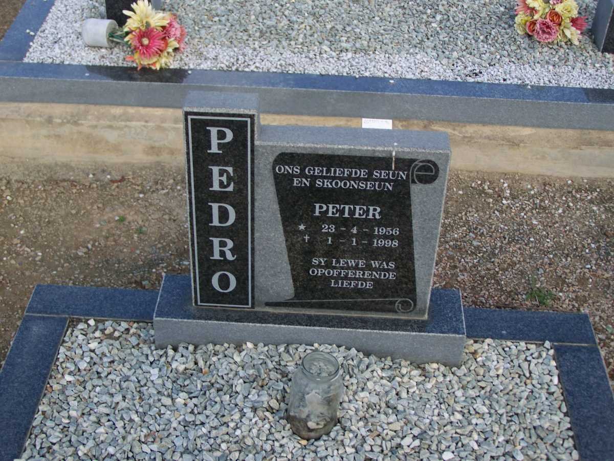 PEDRO Peter 1956-1998