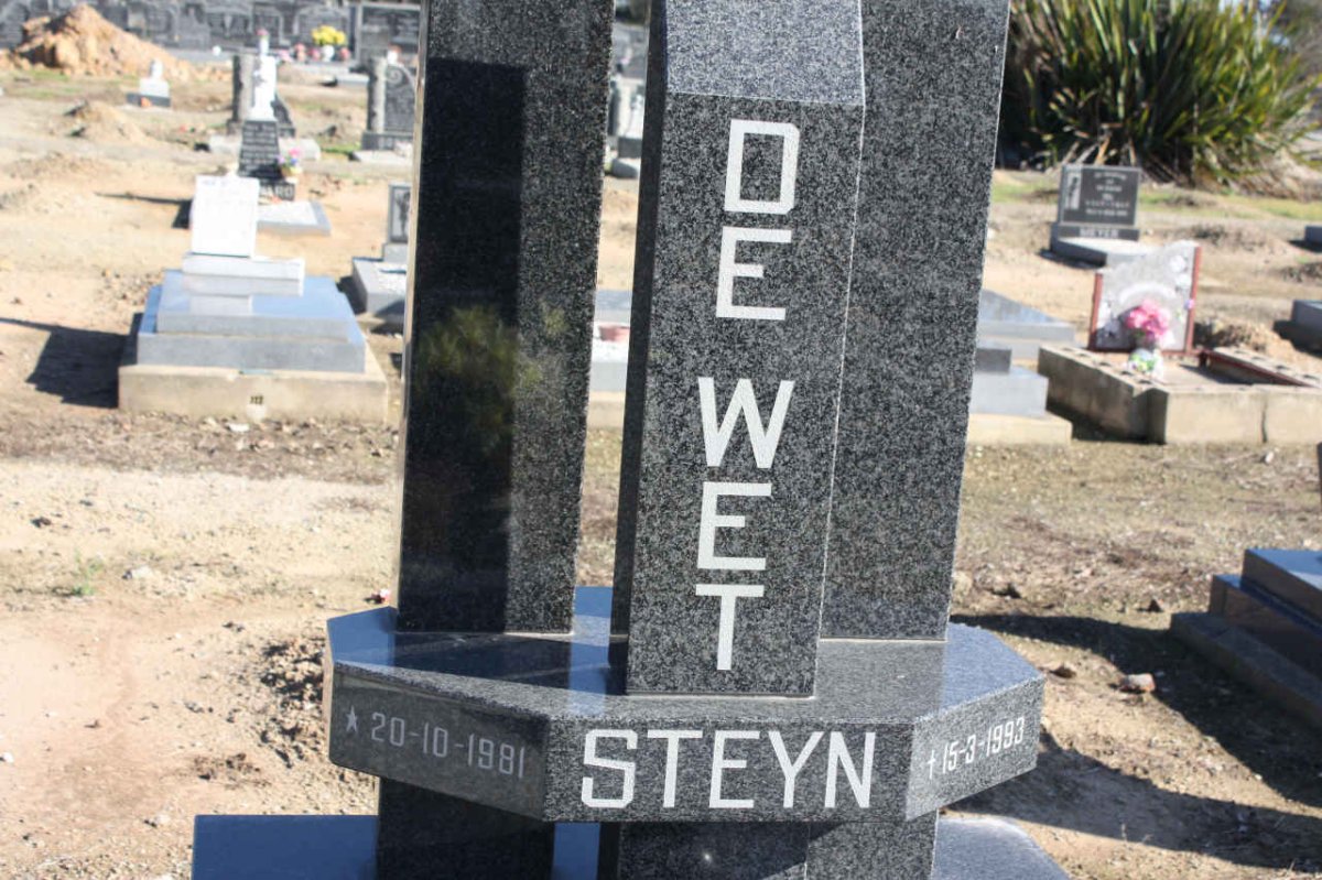 WET Steyn, de 1981-1993