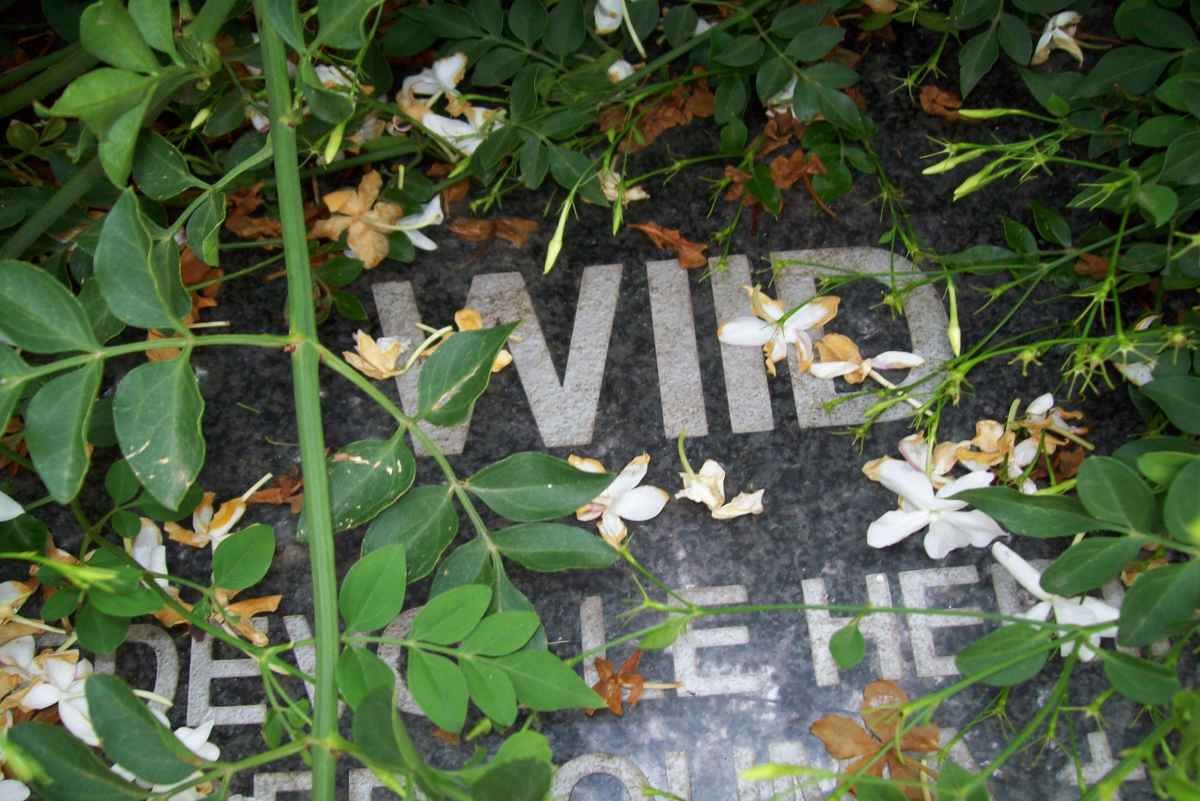 WIID Helena Debora nee LEMMER 1909-2001