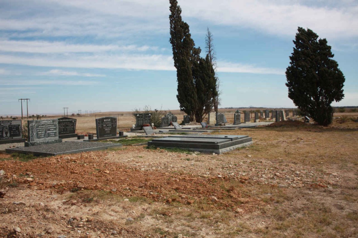 3. OVERVIEW