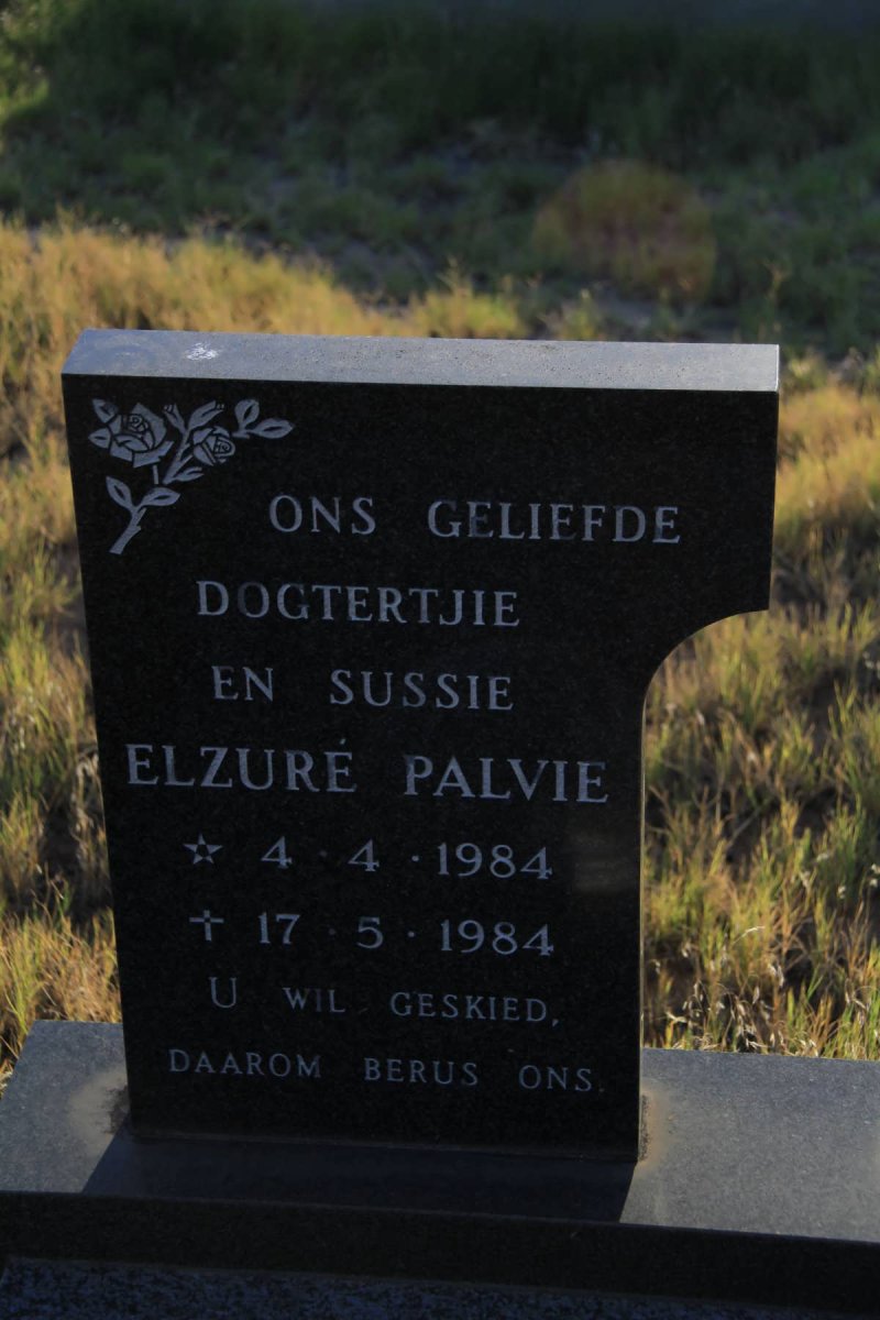PALVIE Elzure 1984-1984