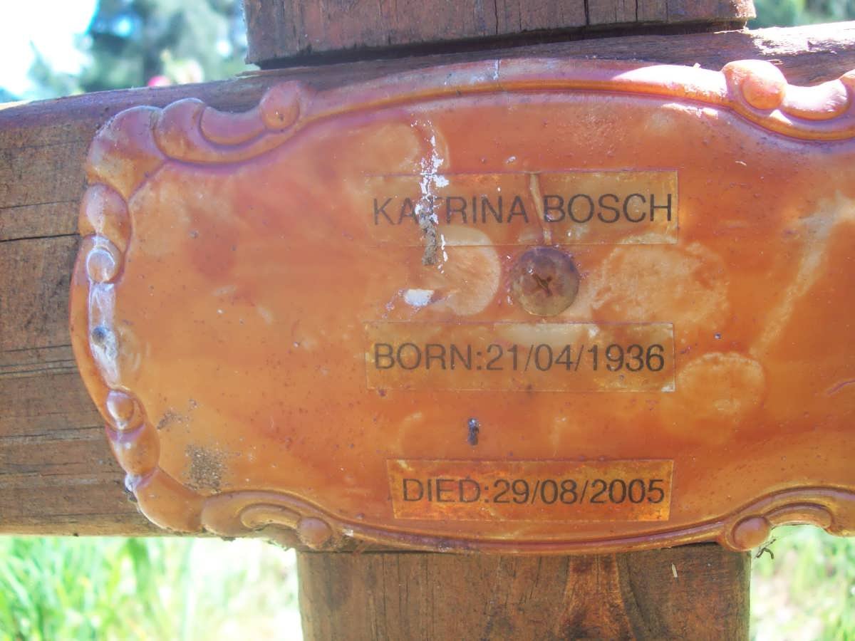 BOSCH Katrina 1936-2005