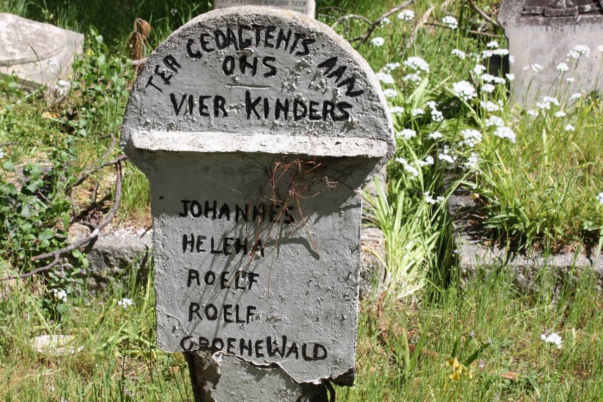 GROENEWALD Johannes :: GROENEWALD Helena :: GROENEWALD Roelf :: GROENEALD Roelf