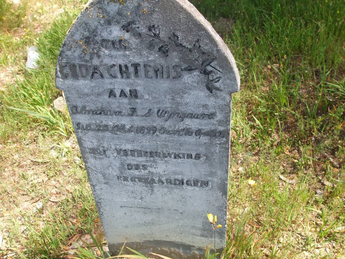 WYNGAARD Adriaan F.S. 1899-