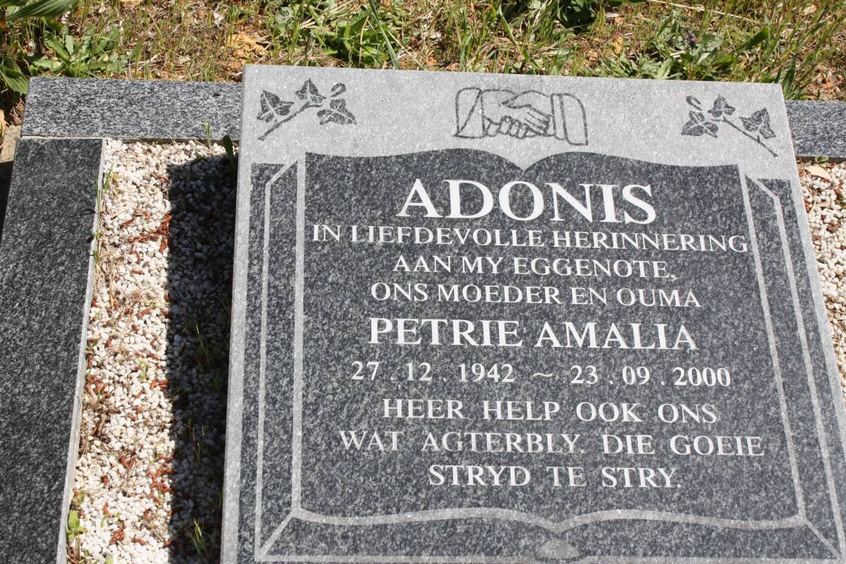 ADONIS Petrie Amalia 1942-2000