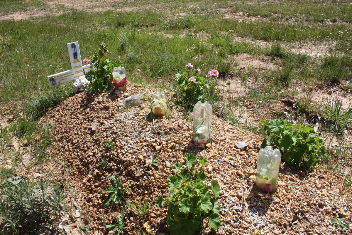APLOON Aaron James 1962-2009