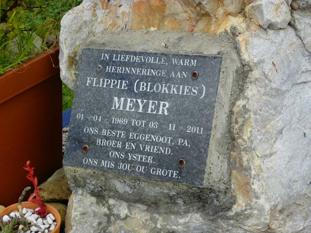 MEYER Flippie 1969-2011