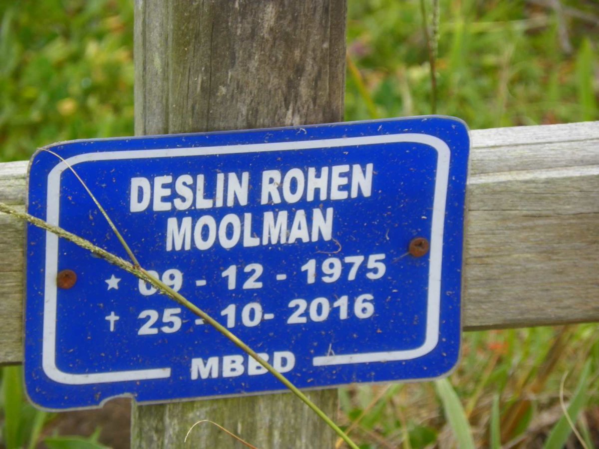 MOOLMAN Deslin Rohen 1975-2016