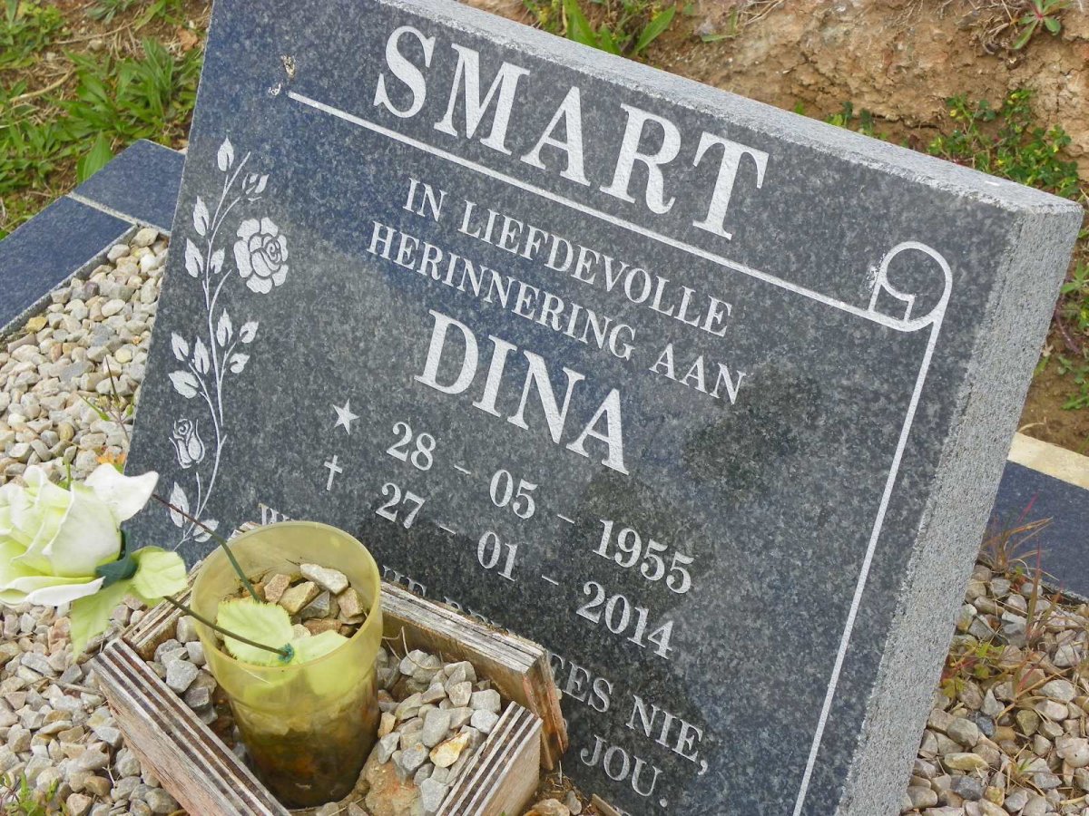 SMART Dina 1955-2014