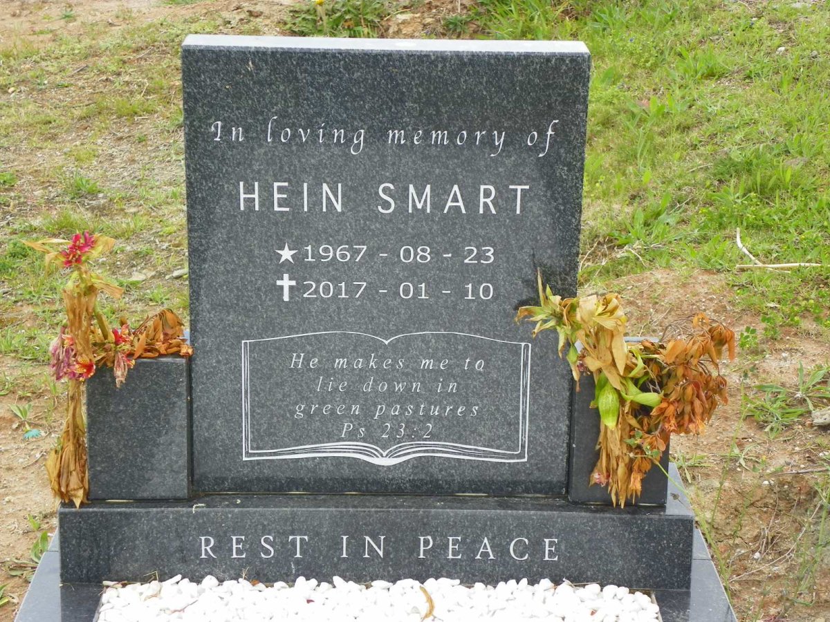 SMART Hein 1967-2017