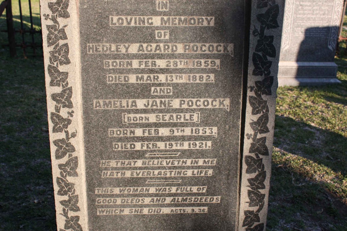 POCOCK Hedley Agard 1859-1882 &amp; Amelia Jane SEARLE 1853-1921