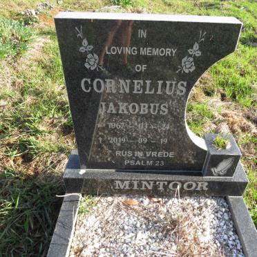 MINTOOR Cornelius Jakobus 1967-2019