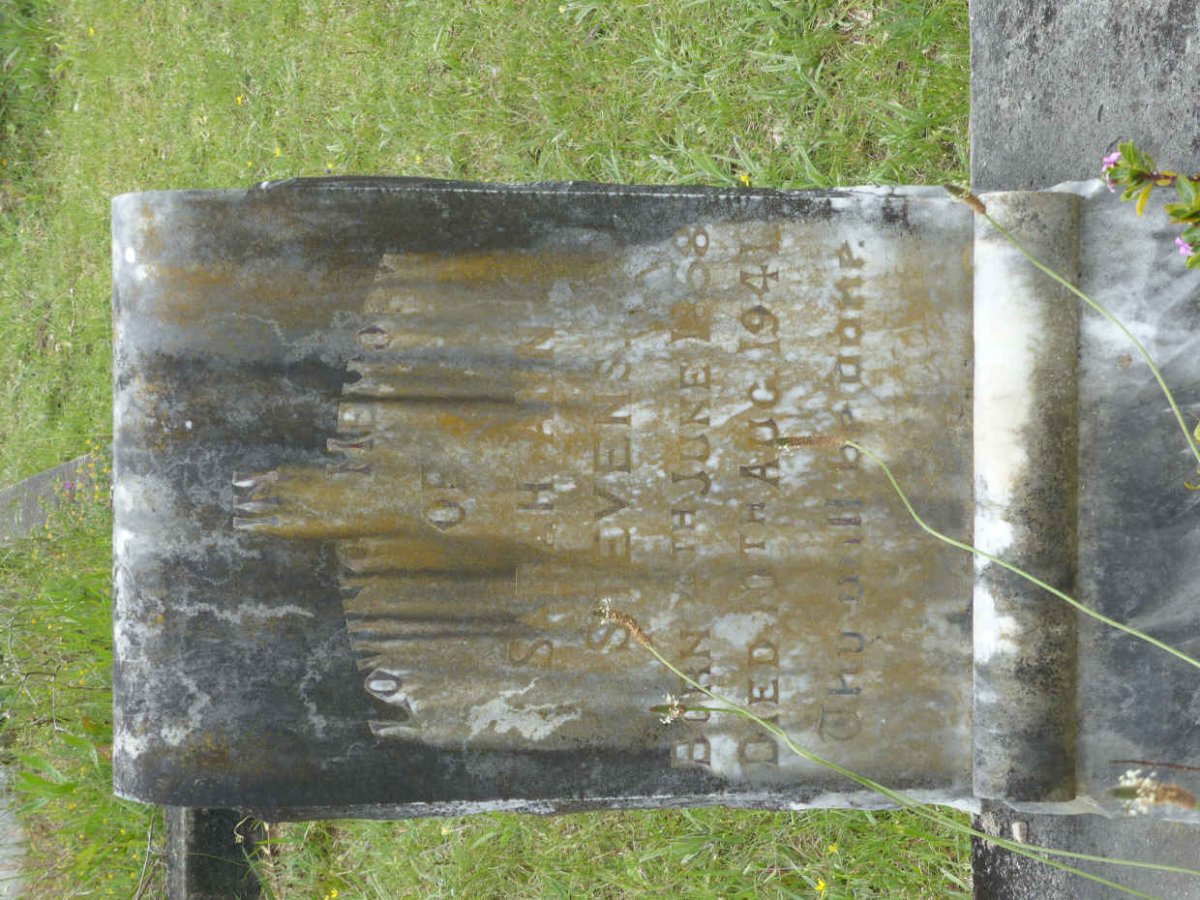 STEVENS Sarah Ann 1858-1941