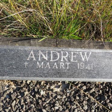 BATHGATE Andrew -1941 &amp; Rose -1961
