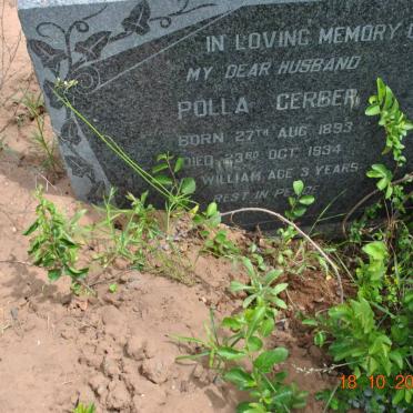 GERBER Polla 1893-1934 :: GERBER William