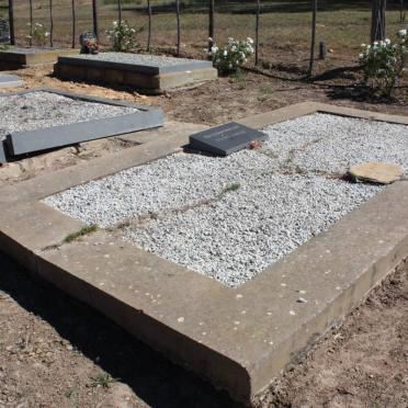 1. Overview FOURIE family