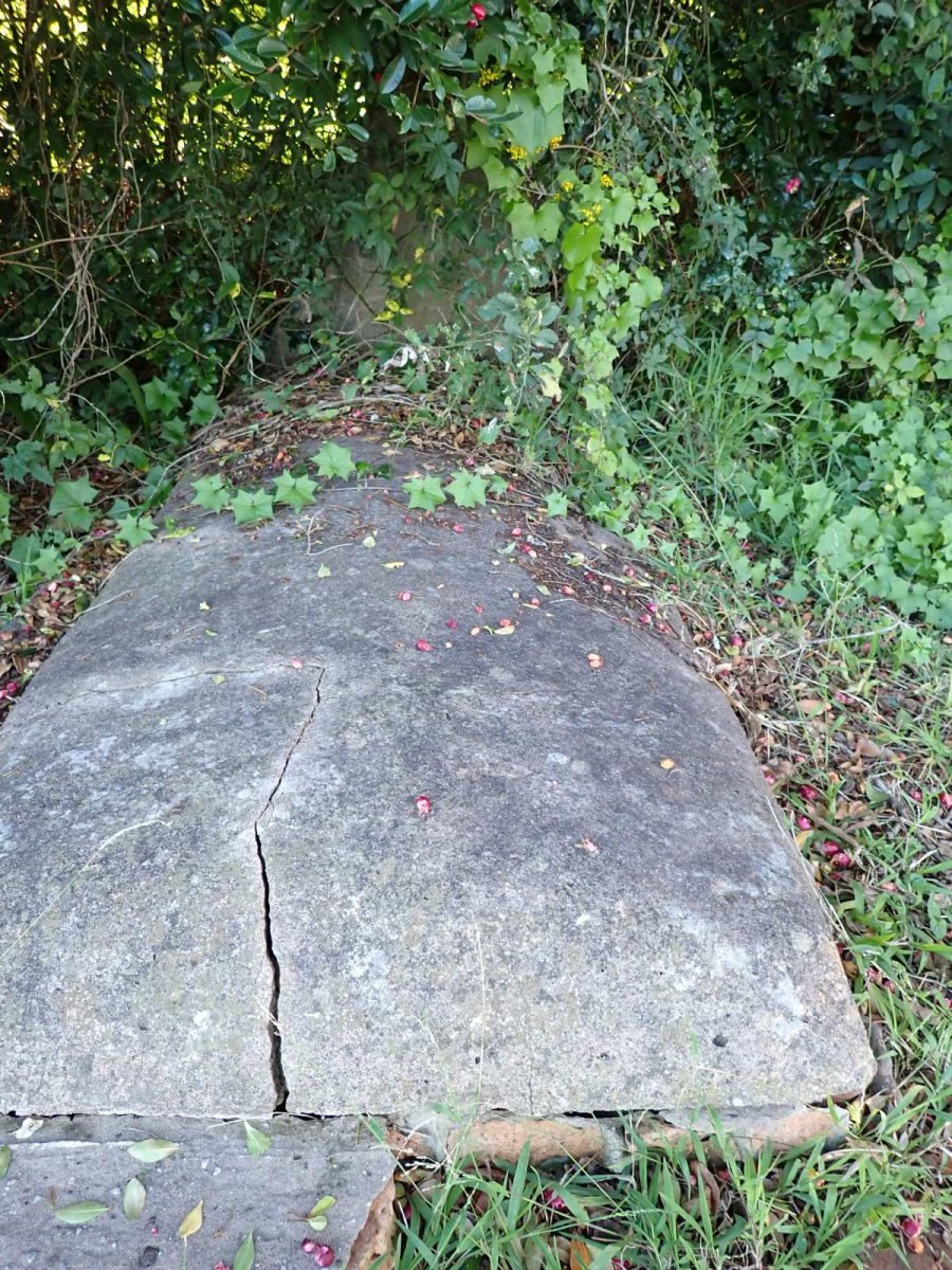 ?