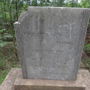 STRYDOM A.J.P. 1879-1924