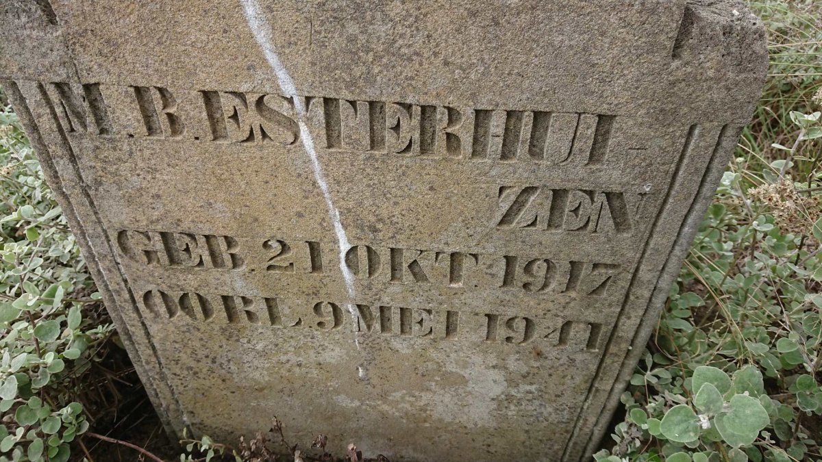 ESTERHUIZEN M.B. 1917-1941