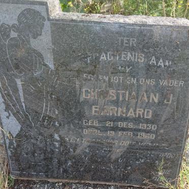 BARNARD Christiaan J. 1930-1960