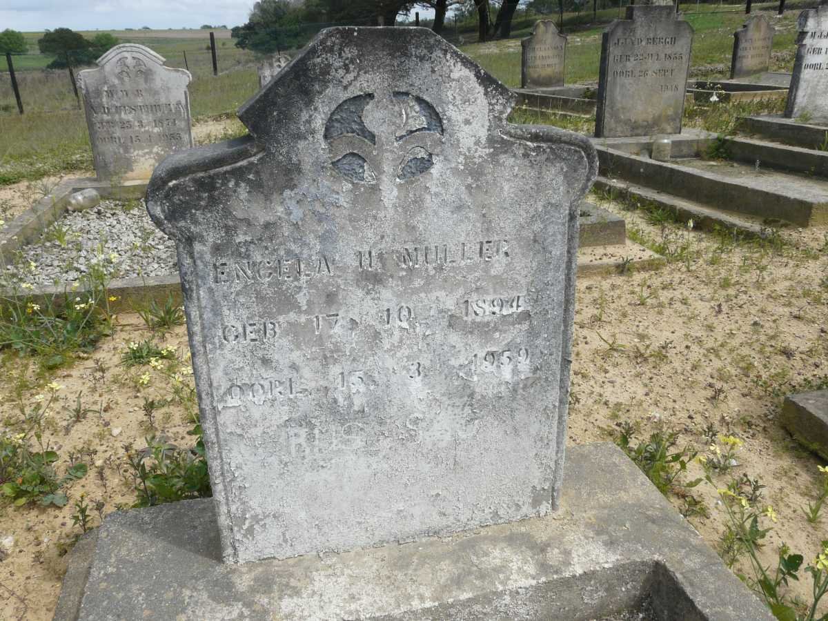MULLER Engela H. 1894-1959