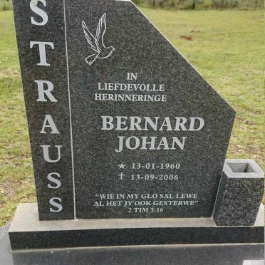 STRAUSS Bernard Johan 1960-2006