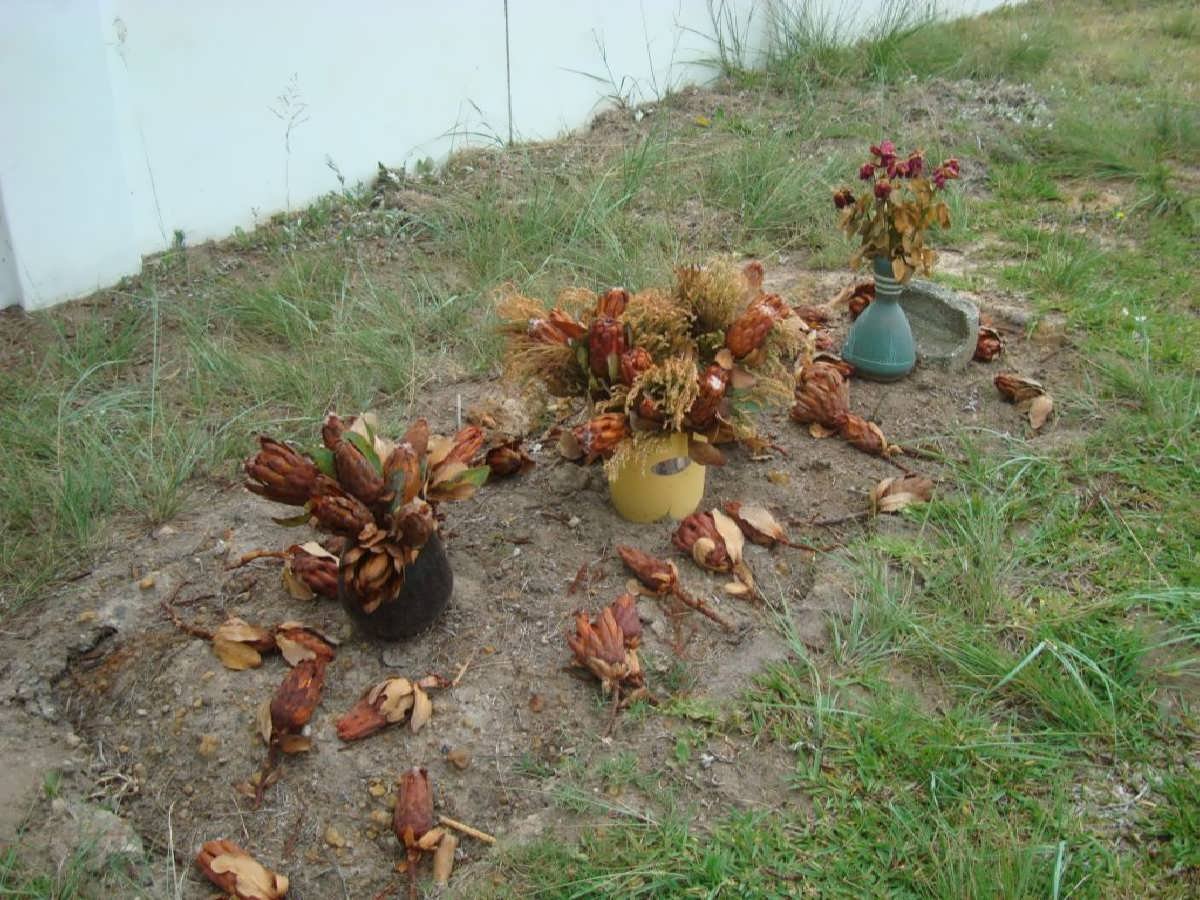 3. Unmarked Grave
