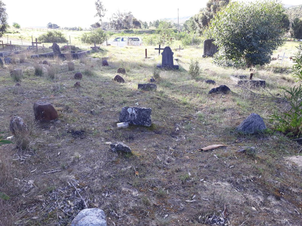 4. Overview