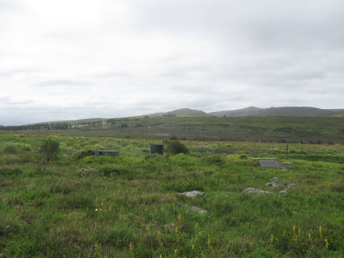 1. Overview