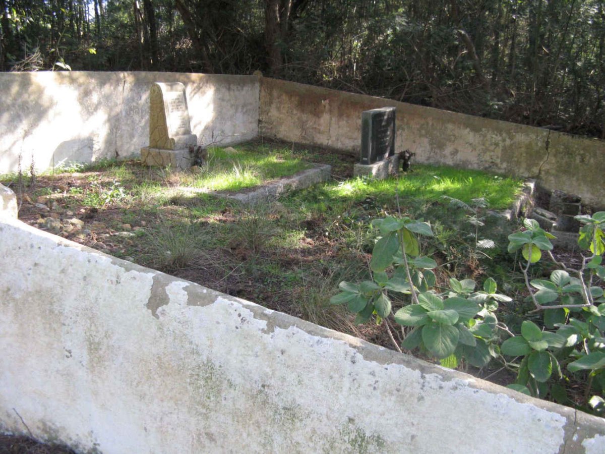 2. Overview
