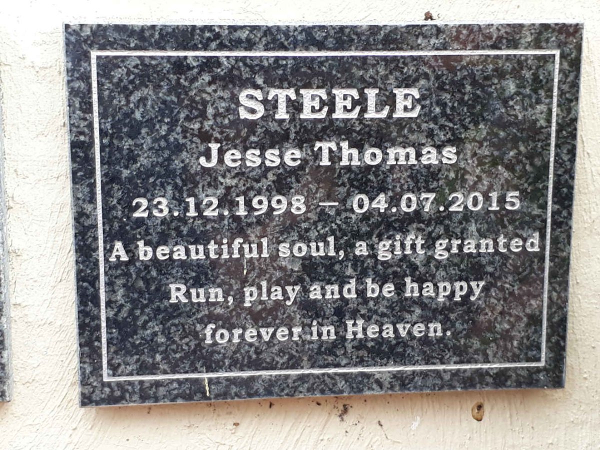STEELE Jesse Thomas 1998-2015