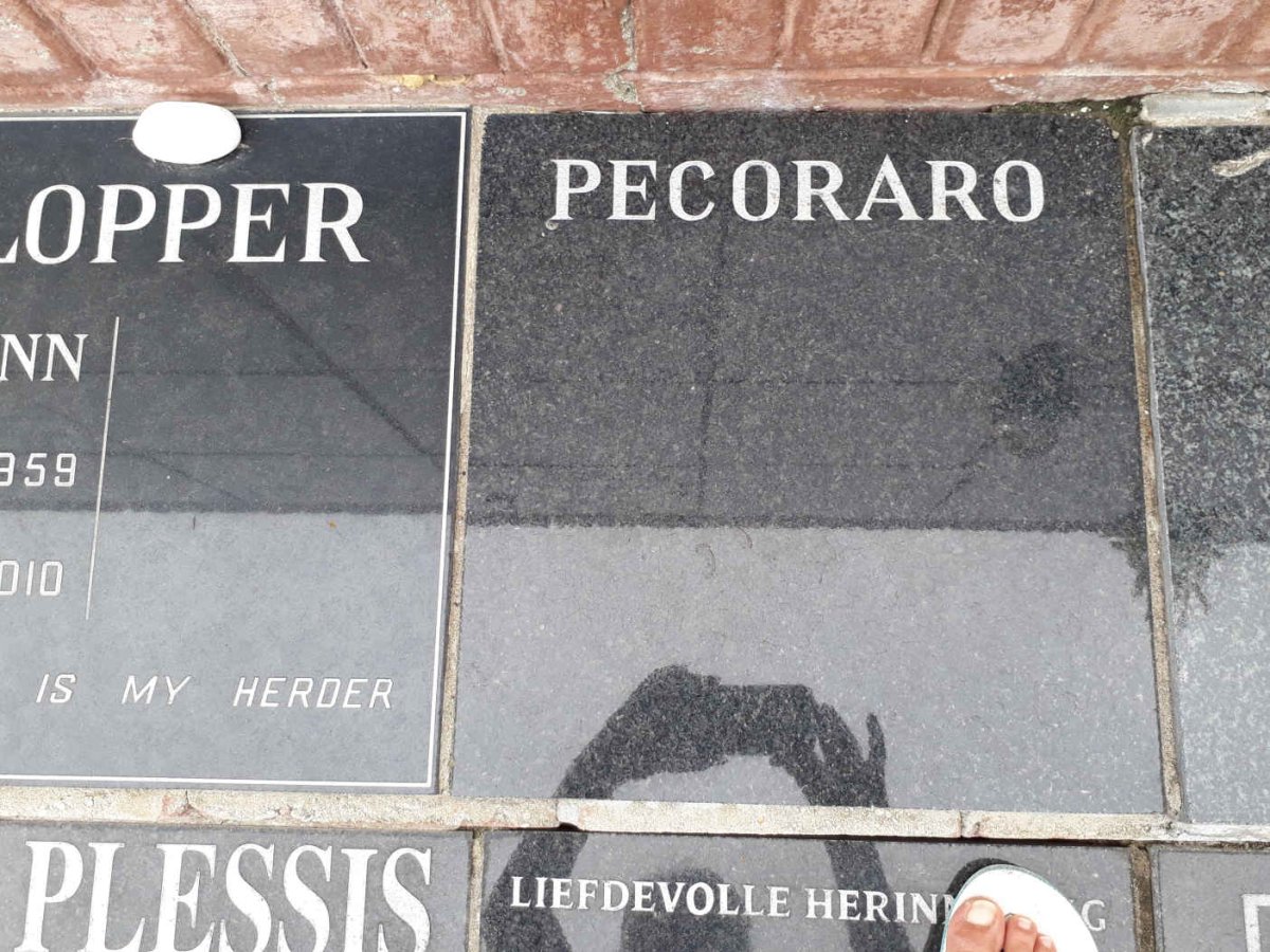 PECARARO