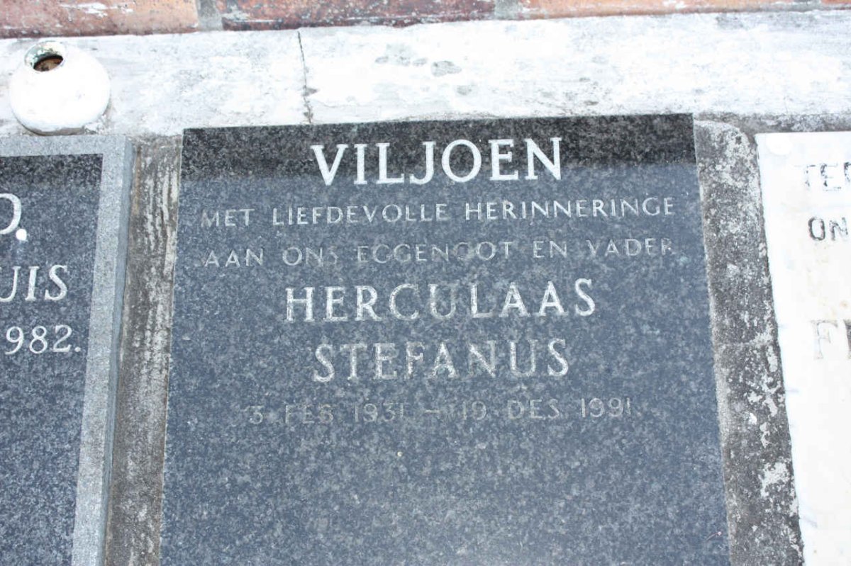 Picture 081