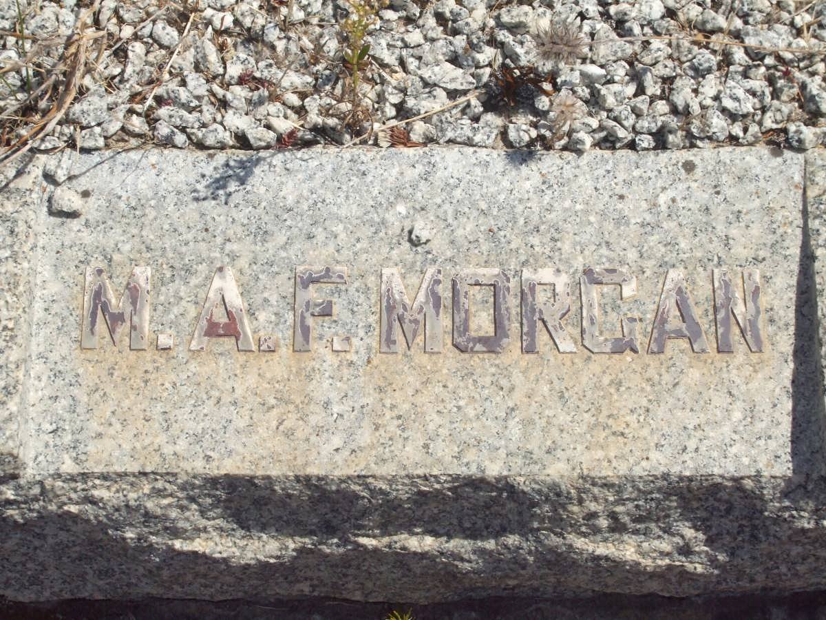 MORGAN M.A.F.