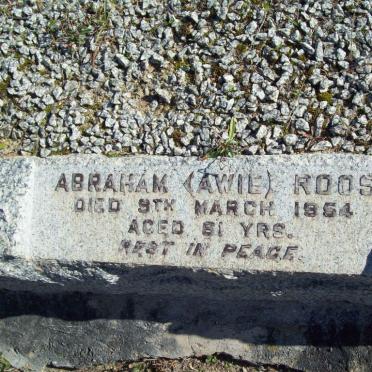 ROOS Abraham -1954