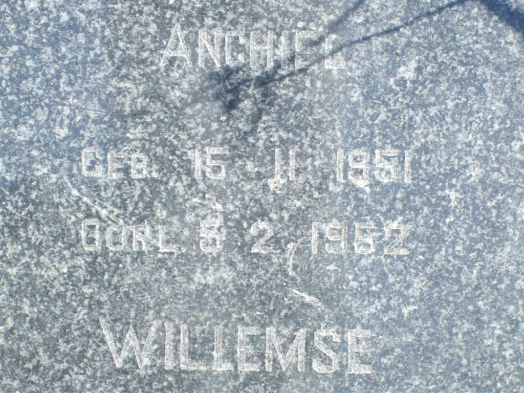 WILLEMSE Anchiel 1951-1952