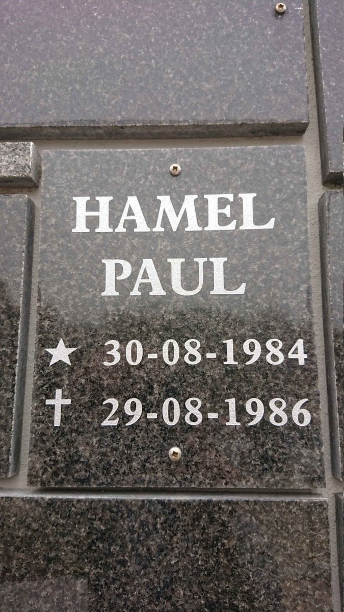 HAMEL Paul 1984-1986